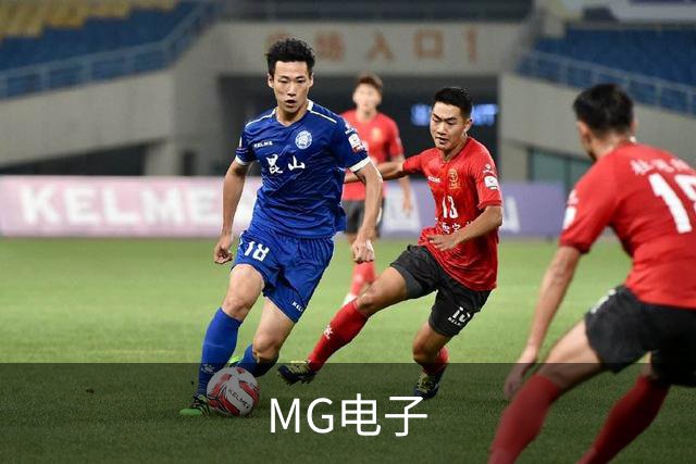 MG电子公司简介